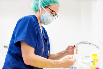 Veterinary surgeon washing hands before operating
