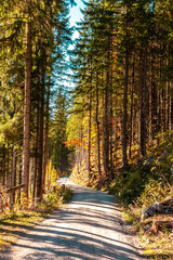 The joy of autumn colors in the Bavarian mountains.