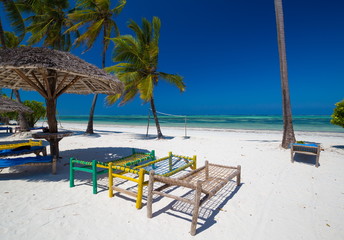 Zanzibar, landscape sea, palms beach