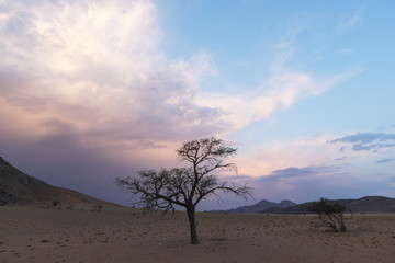 Obraz premium Clouds colored after sunset