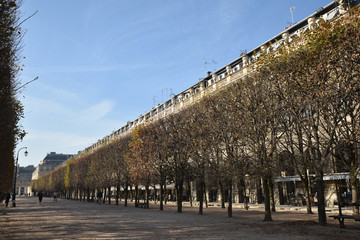 Fototapeta na wymiar Jardins du Palais Royal en automne à Paris, France