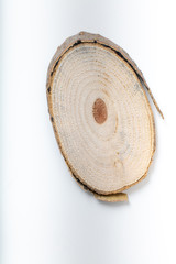 Wooden slice, cut, of young trees with annual rings