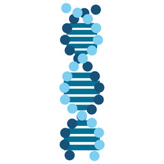 dna molecule genetic