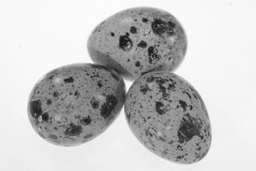 photo of the quail eggs