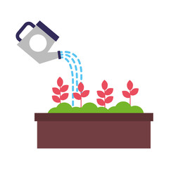 watering can pouring water flowers in pot