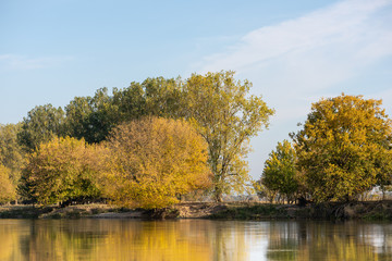 Jesień na brzegu rzeki Warty