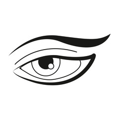 human eye on white background