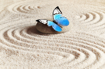 Fototapeta na wymiar Sand, blue butterfly and spa stone in zen garden. Spa concept.