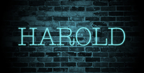 Fototapeta na wymiar first name Harold in blue neon on brick wall