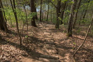 Forest wooden stair path down to the lake