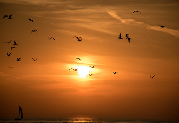 Fototapeta na wymiar silhouette of seagulls in sunset sky over Lake Michigan water with sailboat