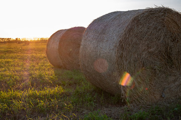 two bales of rolled pressed hay against the evening sky and sun glare on the lens
