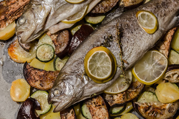 Baken trout with lemon on bed of potatoes