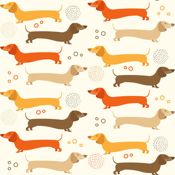 Dachshound seamless pattern - doxie background design