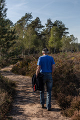 Solitary senior citizen on a meandering dirt path through a moorland landscape passing with a pine forest in the background