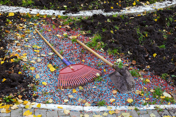 cleaning the garden