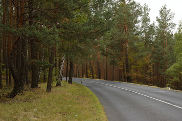 Fototapeta premium Route 270 in czech Machuv kraj region on 28th September 2018 in autumn