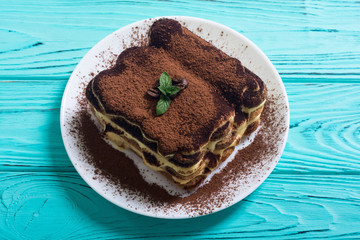 Homemade tiramisu cake