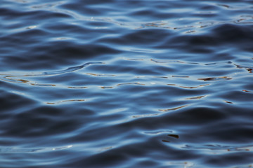 Naklejka premium Water surface with little waves