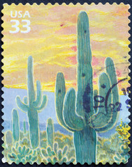 Saguaro cacti on american postage stamp