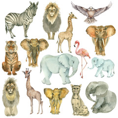 African animals collection - 228181647