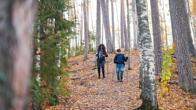 Young curly woman and a boy on scandinavian walk in the forest. Going downhill.