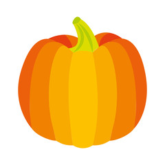 fresh pumpkin on white background