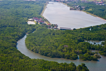 tropical forest aerial shot