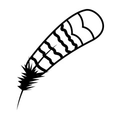 feather bird on white background