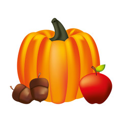 pumpkin acorn and apple fresh