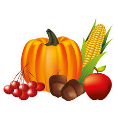 pumpkin acorn apple cherries and corn