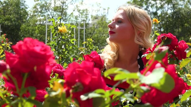 A young beautiful woman in a retro dress smells a red rose in a public garden on a sunny day - closeup