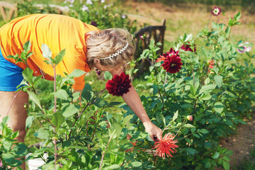 Caucasian woman handling flowers at a garden.  © Artem
