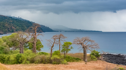 Sao Tome and Principe, Lagoa Azul on Sao Tome island, beautiful landscape with baobab trees 
