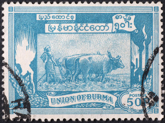 Oxen and plough on vintage burmese postage stamp