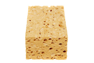 Big porous sponge