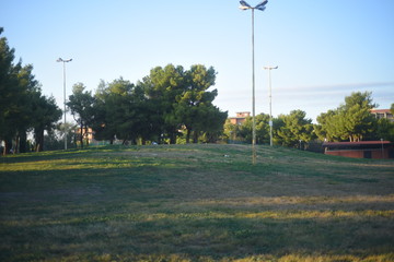 PARCO