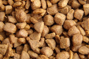 Fototapeta na wymiar Brown dry food for dogs and cats. Pet meal background closeup