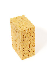 Big porous sponge
