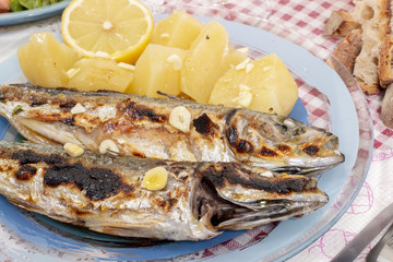 Grilled atlantic horse mackerel meal