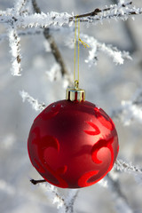 Red Christmas Bauble Ball Ornament Hanging On A Frosty Tree Branch Outside