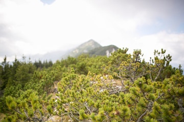 Mountain peaks and trails in summer time. Romania