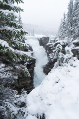 Cold scenery at Athabasca River in the Canadian Rockies with snow and fir trees in wonderful scenery and ice and blue rivers running through the scenery with snowy hut