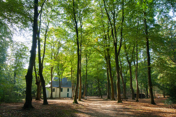 Kirche im Wald - Irmgardiekapelle - Kapelle in der Natur in Viersen, Ortsteil Süchteln, Deutschland