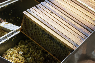 honeycomb waste deposit