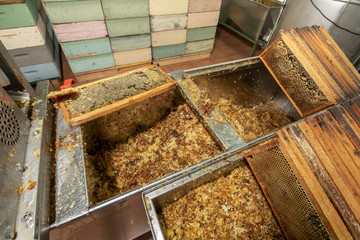 Fototapeta na wymiar honeycomb waste deposit