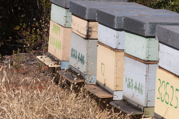 Traditional honeycomb beehives crates