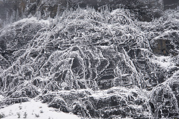 Cold scenery of mountain face with amazing structure in the Canadian Rockies with snow and fir trees in wonderful scenery and ice and blue rivers running through the scenery with snowy hut