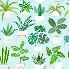 Wall murals Plants in pots House plants in pots vector seamless pattern. Houseplant background