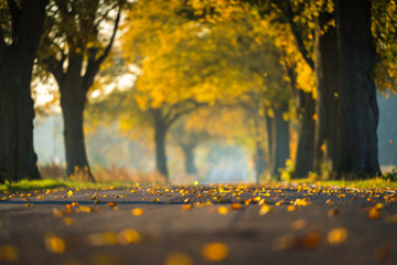 The Autumn © Ben.Photoholic